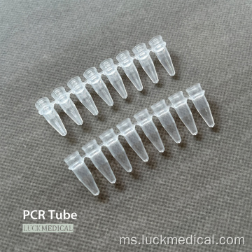 Strip tiub PCR 0.2 ml 0.1ml